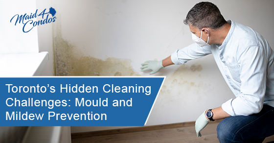 Toronto’s hidden cleaning challenges: Mould and mildew prevention